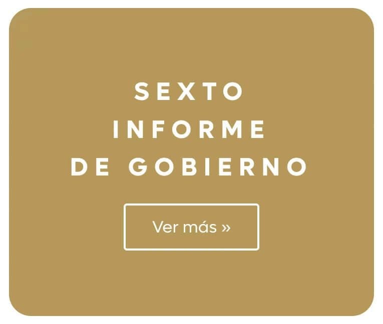 6o_Informe